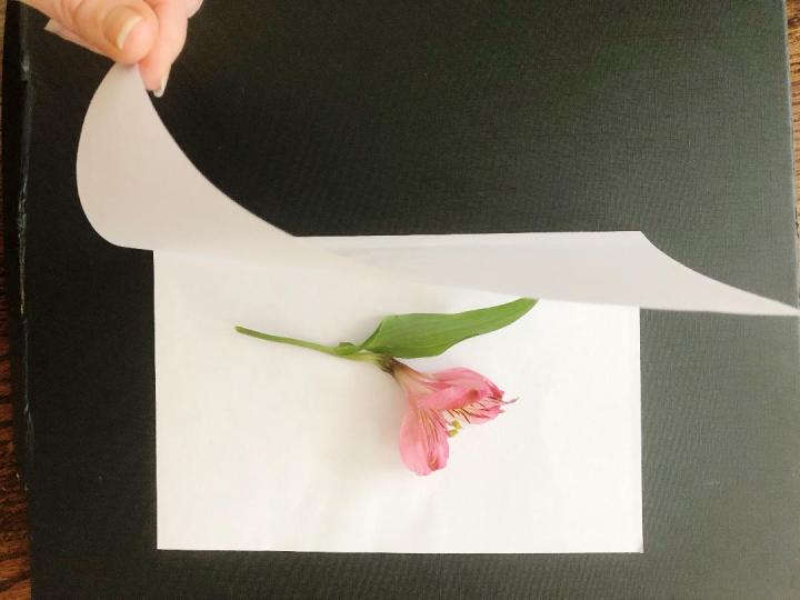 open paper with flower